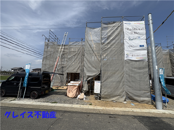 6203画像