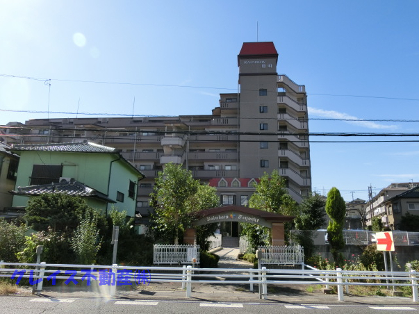 6305画像