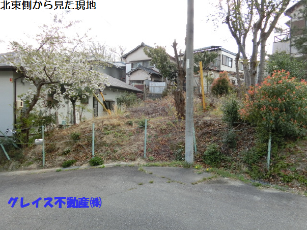 4077画像