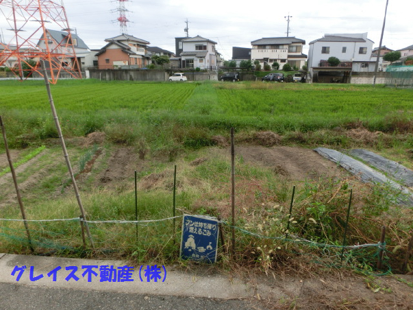 6039画像