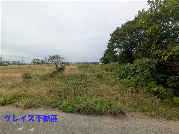 拡大してご覧になれます