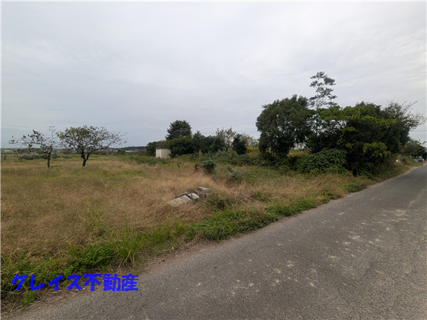 拡大してご覧になれます