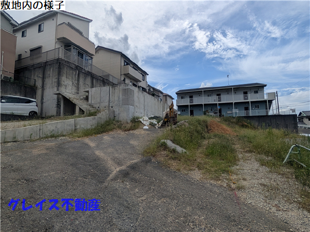 拡大してご覧になれます