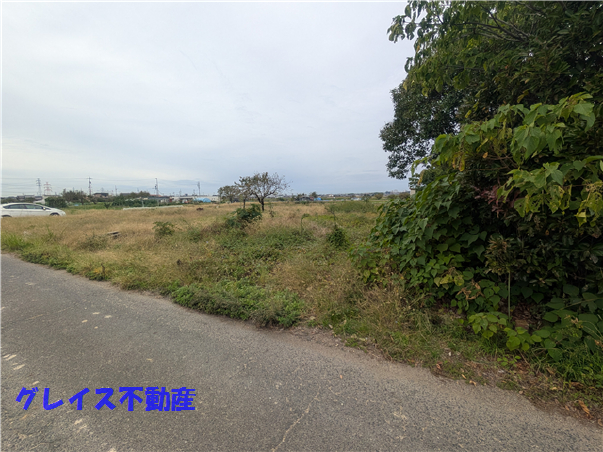 拡大してご覧になれます