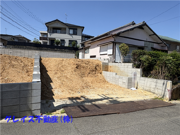 Lsh卪Q@B