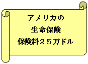 横巻き: アメリカの
生命保険
保険料25万ドル