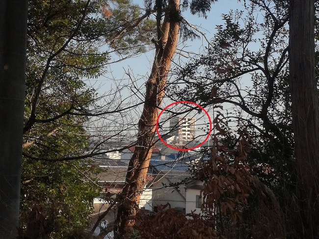 高鴨神社風景（豊明市）