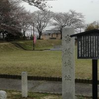 沓掛城址公園　桜