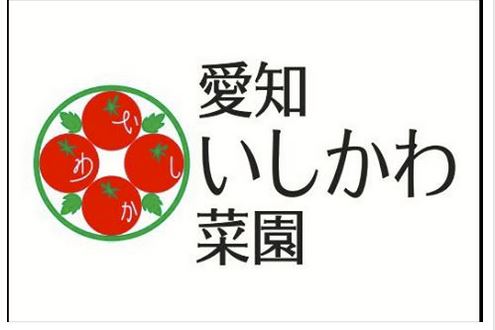 豊明市沓掛町 いしかわ菜園のミニトマト