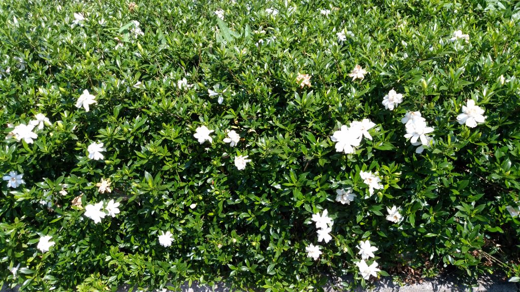 陶芸の館（豊明市・大蔵池公園内）