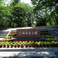 三崎公園コリウス