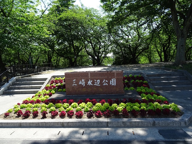 豊明市　三崎水辺公園　花