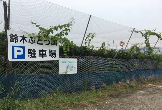 鈴木ぶどう園　駐車場　豊明市二村台のぶどう園