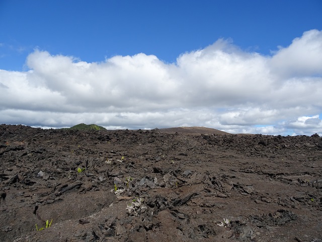 左の木の生えた丘がプウフルフル・右がマウナウルこの辺りは1969年～1974年の噴火の間に流れた溶岩