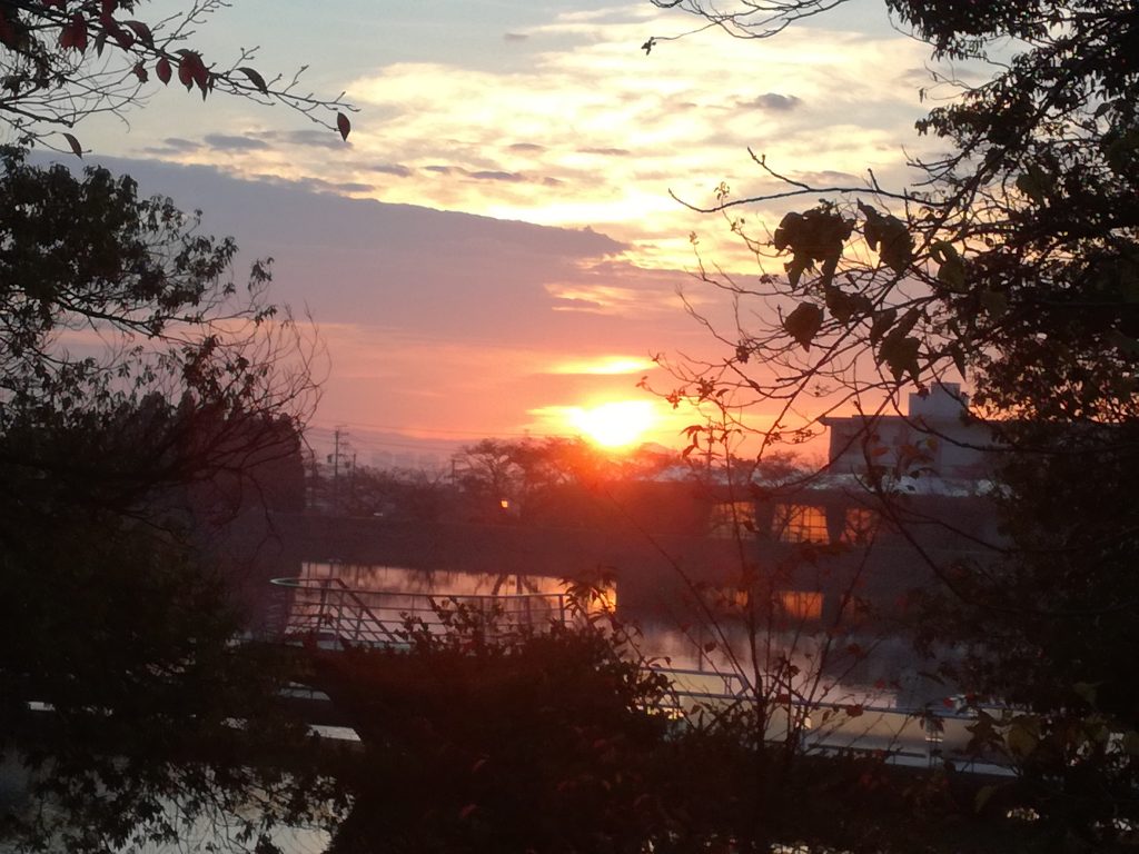 三崎公園日の出（豊明市）