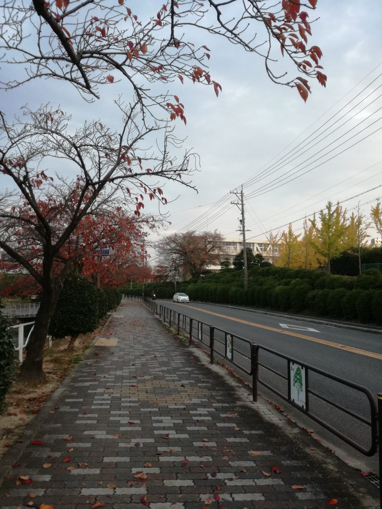 三崎公園１（豊明市三崎町）