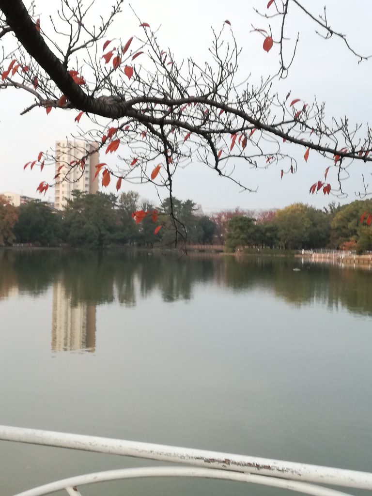 三崎公園２（豊明市）