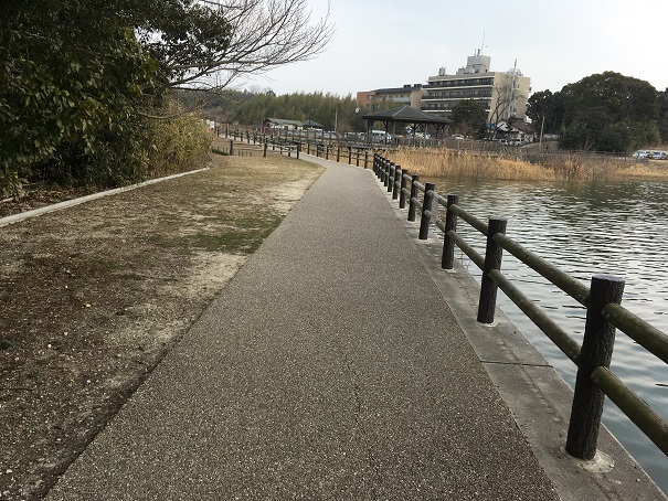 勅使水辺公園　遊歩道