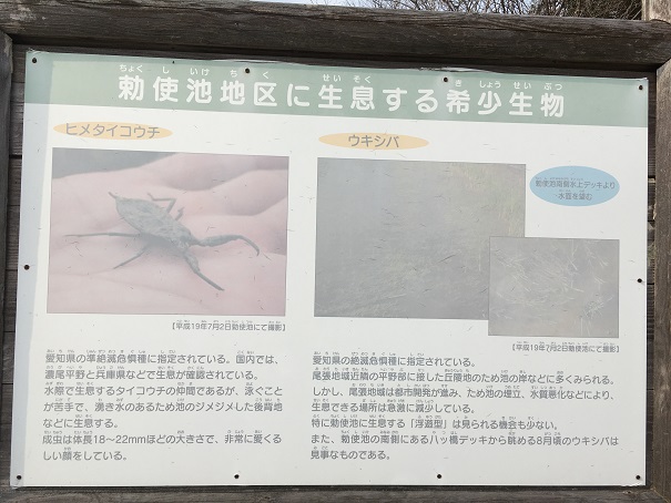 勅使水辺公園　看板