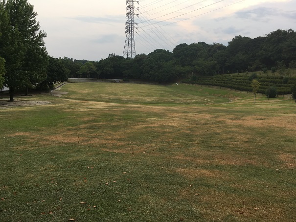 大府みどり公園　芝生広場