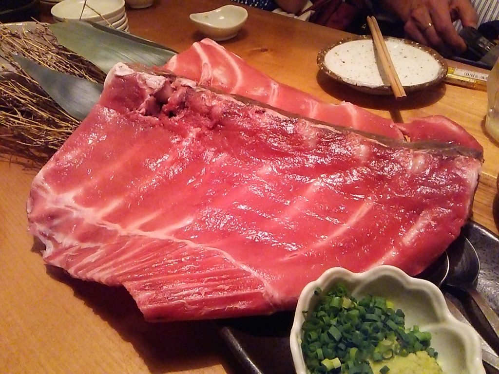 マグロ最高