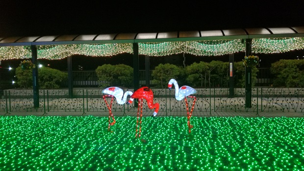 前後駅イルミネーション