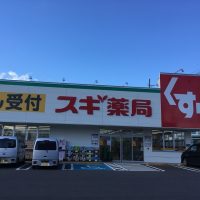 スギ薬局　豊明三崎店