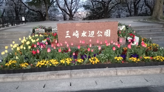 三崎公園の花壇