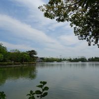 三崎水辺公園　令和元年５月