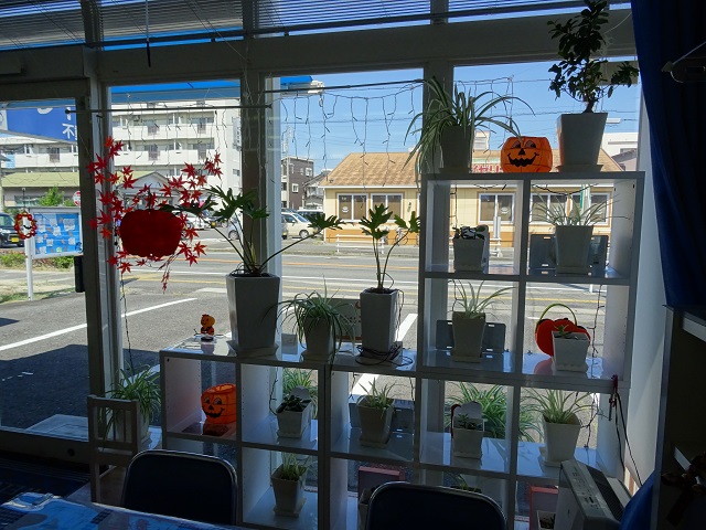 グレイス不動産ハロウィン