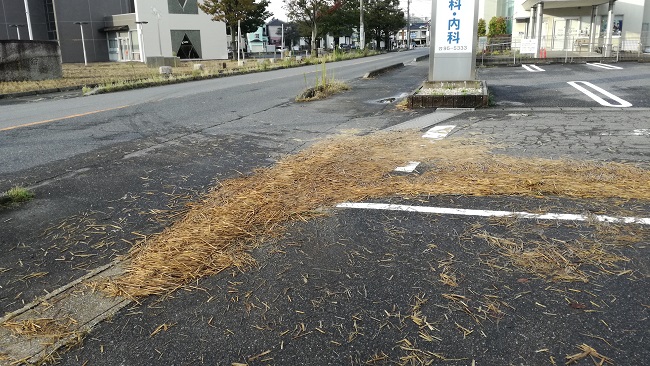 植村循環器きか内科