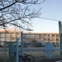 大宮小学校