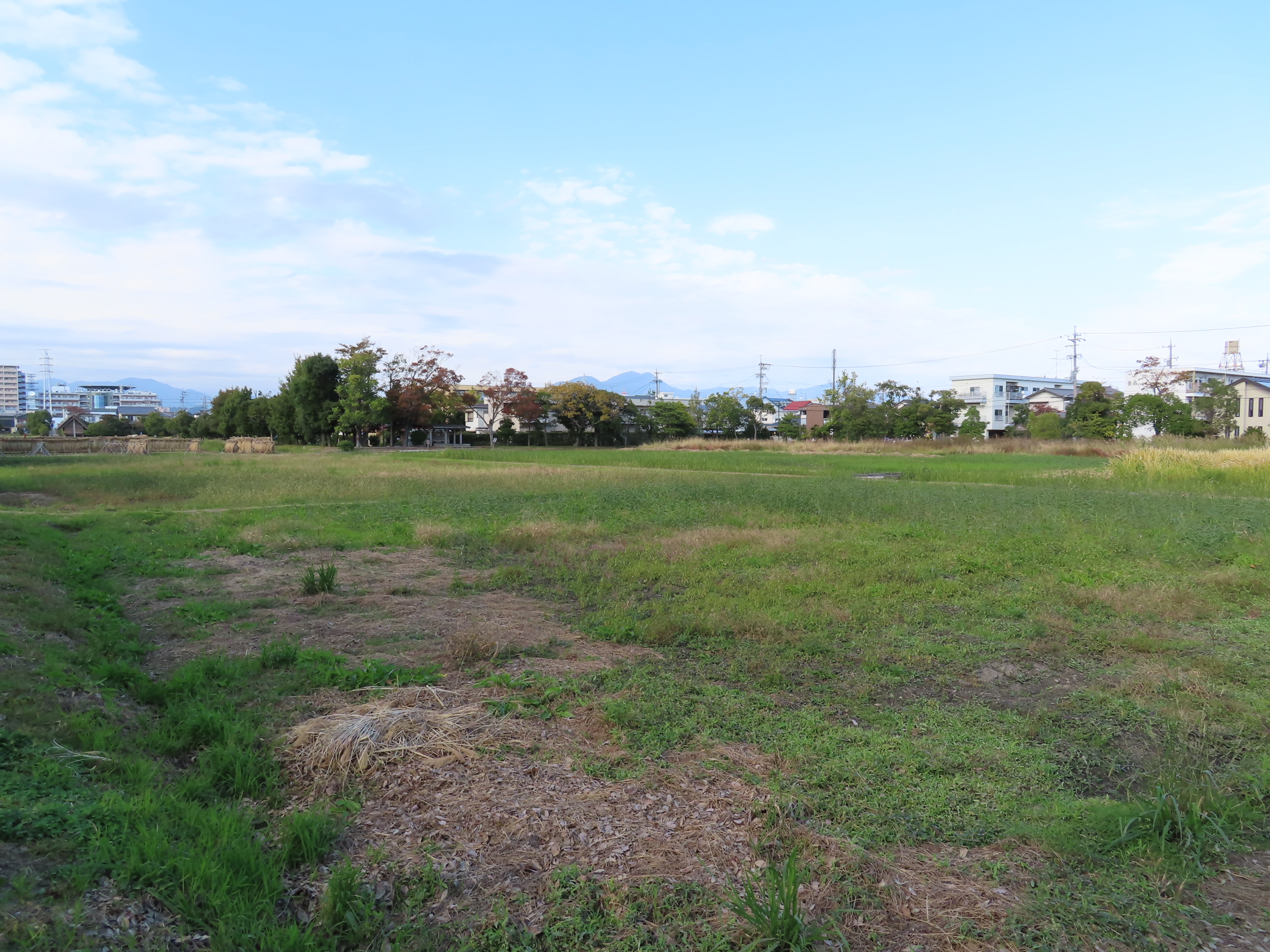 登呂遺跡じゃない