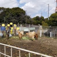 大府みどり公園やぎ.