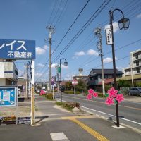 グレイス不動産前の道路