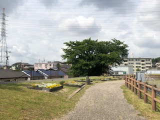 ookuraike1