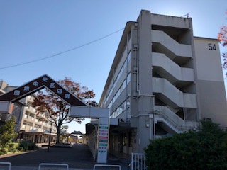 docomo1