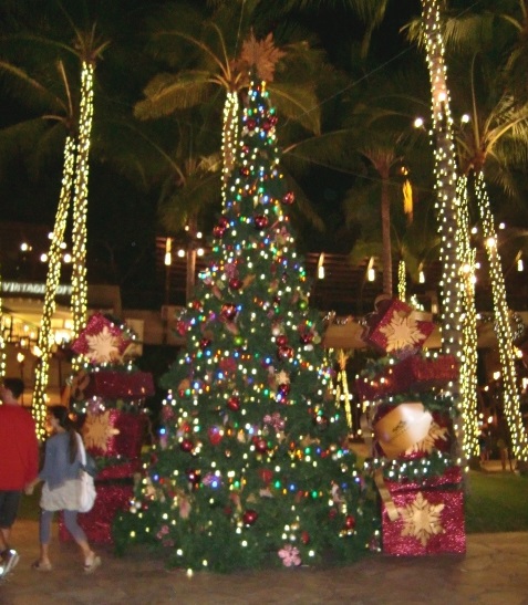 ハワイオアフ島　クリスマス