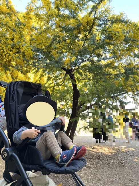 大府みどり公園ミモザ