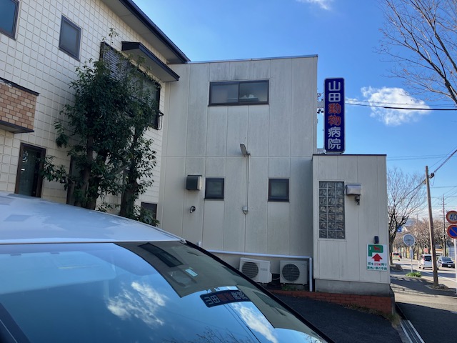 山田動物病院