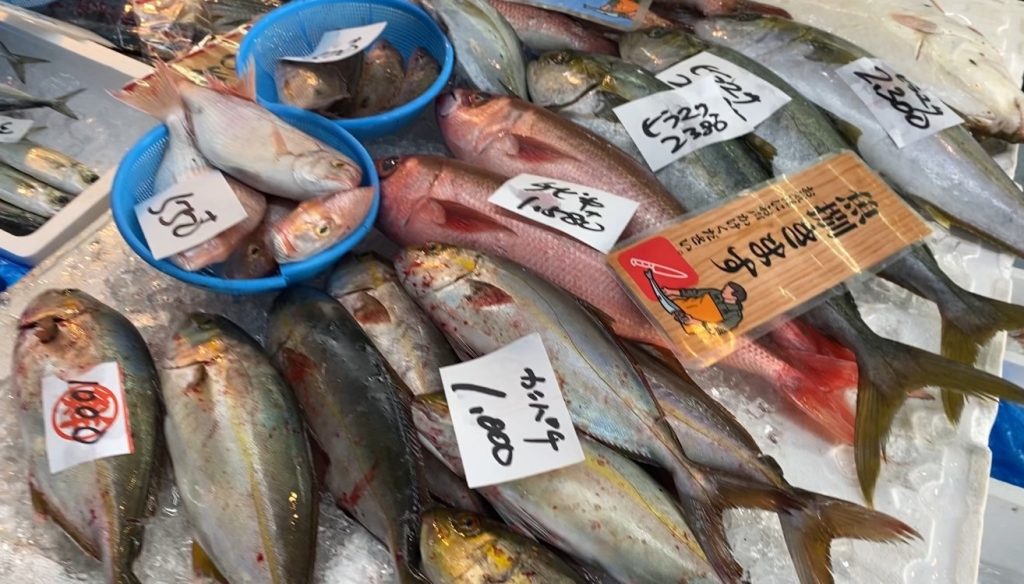 海幸一番の新鮮な魚