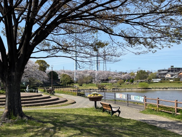 ookuraike1