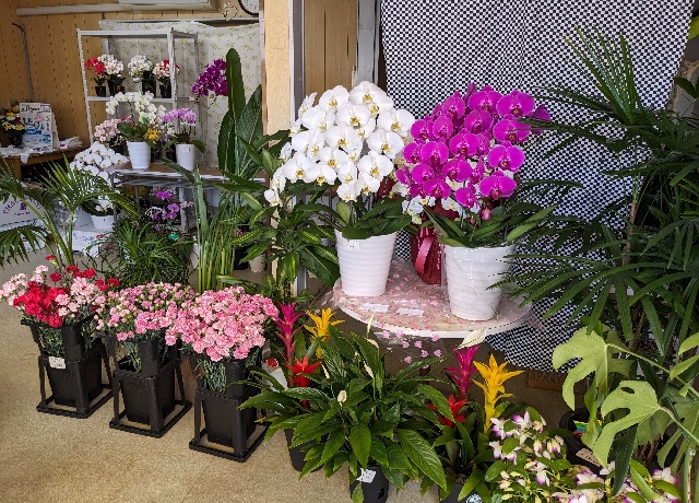 花屋店内