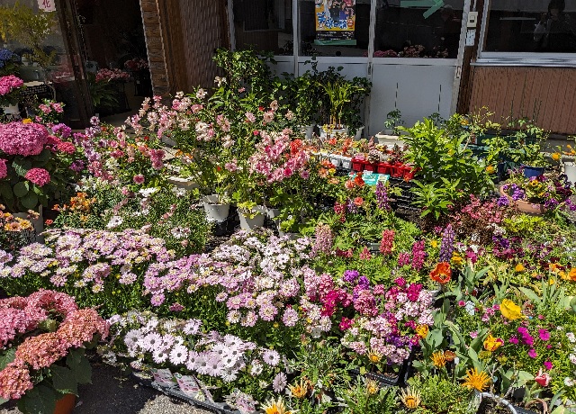 花屋店頭