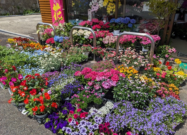 花屋店頭