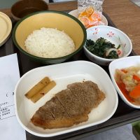 fujita meal