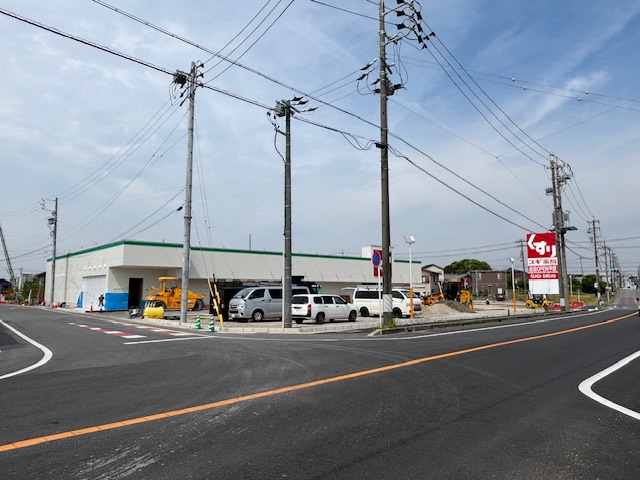 sugi