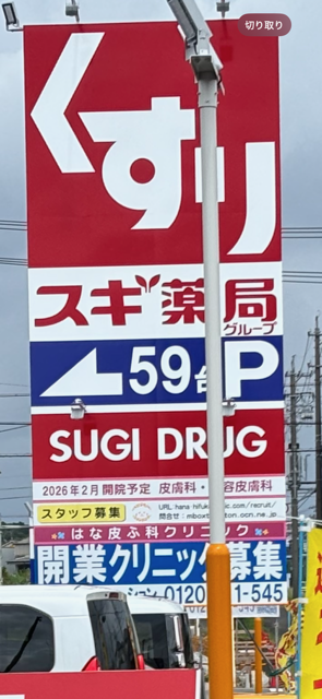 sugi2