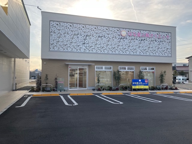 はな皮ふ科　豊明